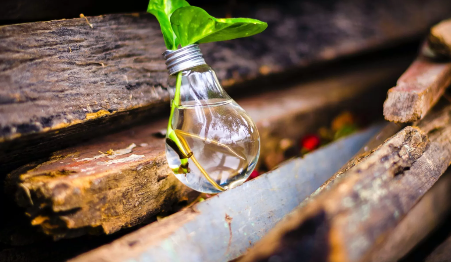 Gestión Sostenible de Servicios Ecosistémicos