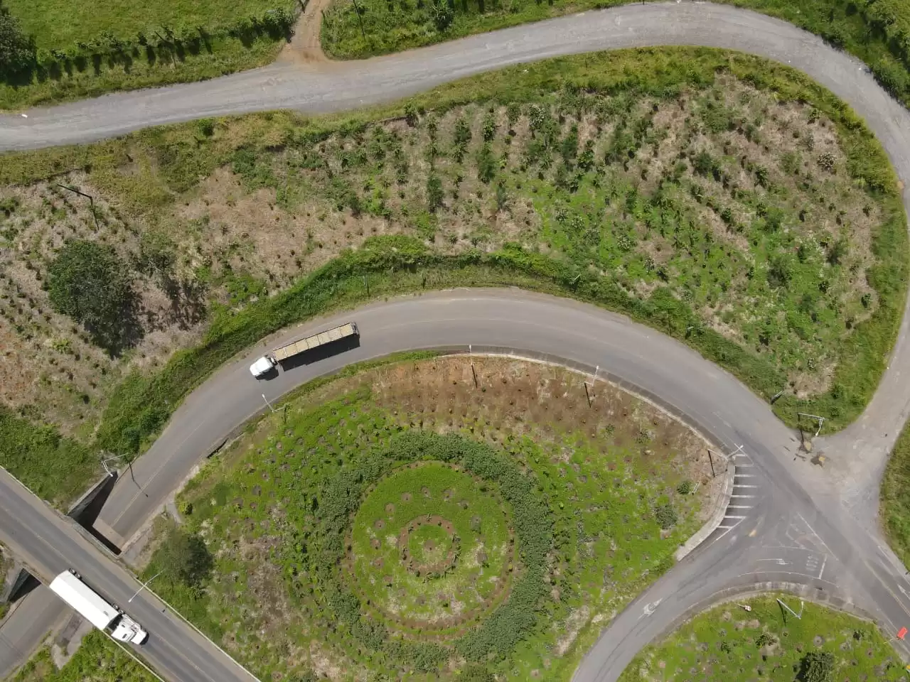 Iniciativa Huella del Futuro recibirá apoyo para crear nuevos bosques en la Zona Norte